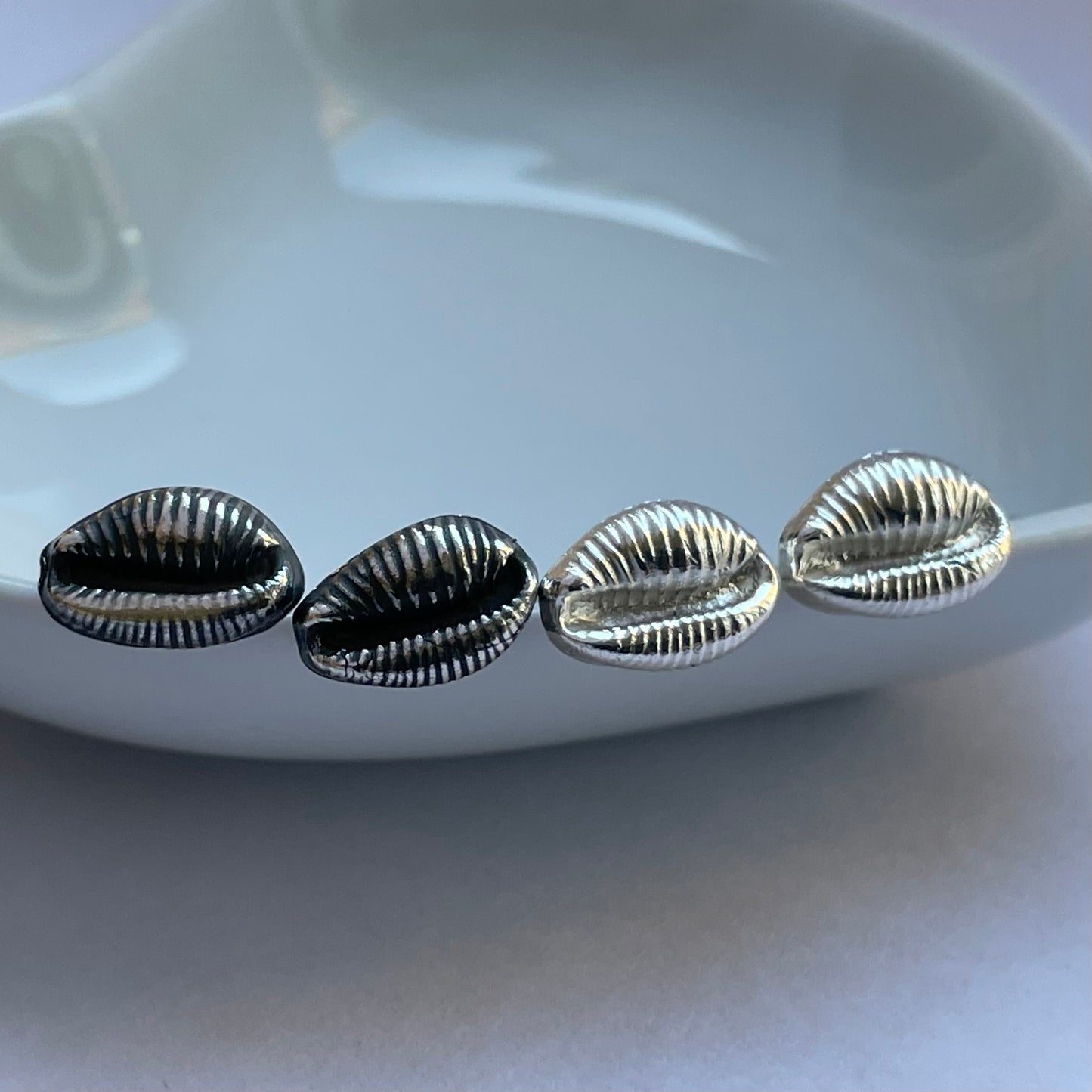 Fine Silver Cowrie Shell Studs