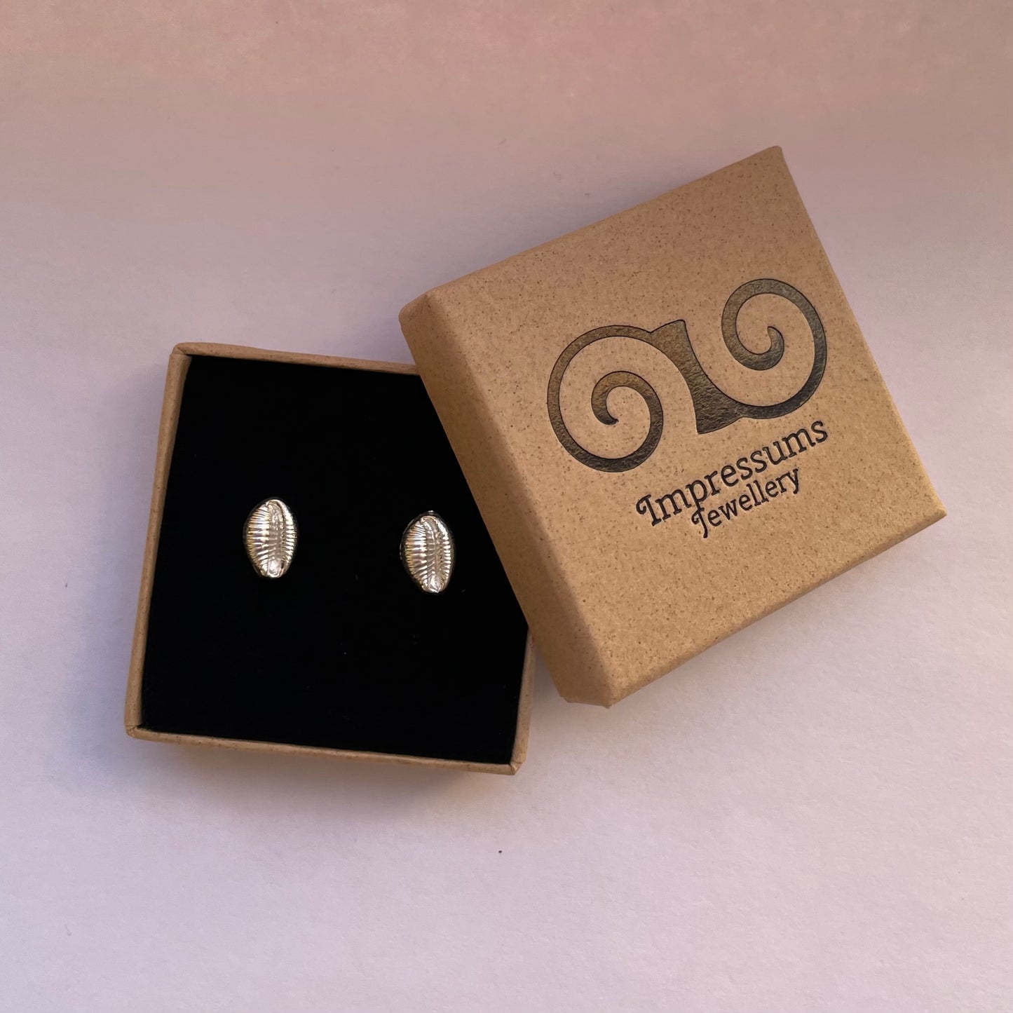 Fine Silver Cowrie Shell Studs