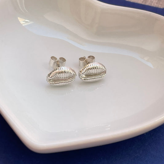 Fine Silver Cowrie Shell Studs