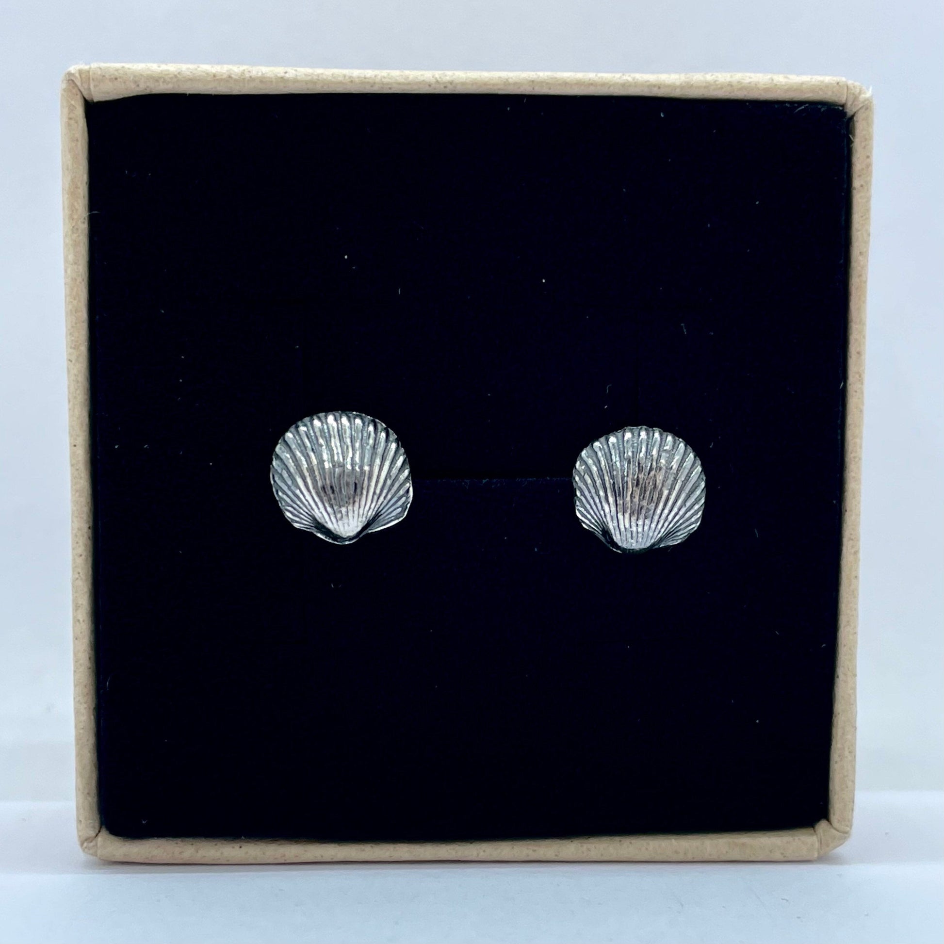 Close-up of the silver cockle shell earrings, showing the delicate shell texture and subtle patina.