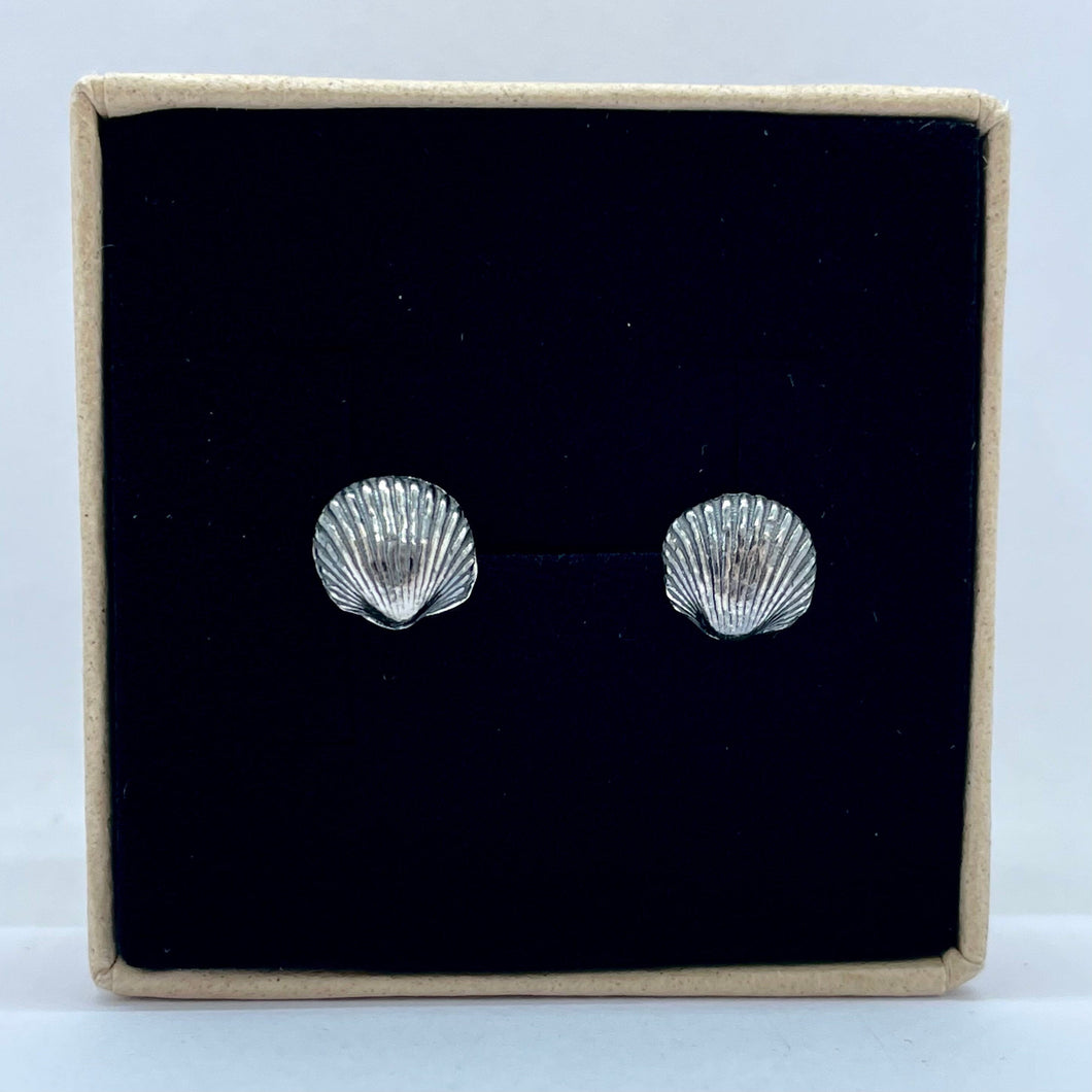 Silver Cockle Shell Stud Earrings