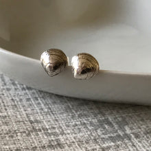 Load image into Gallery viewer, Mini Silver Sea Shell Studs
