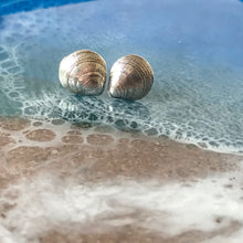 Load image into Gallery viewer, Mini Silver Sea Shell Studs
