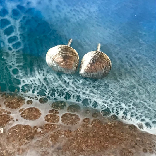 Mini Silver Sea Shell Studs